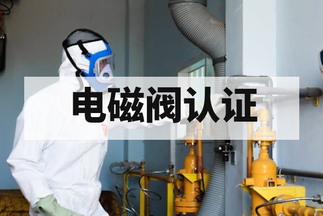 防爆电磁阀检测项目与标准要求深度解析